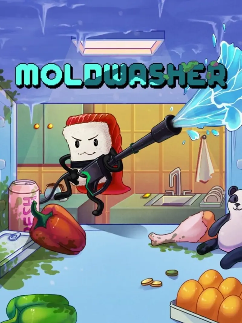 Moldwasher