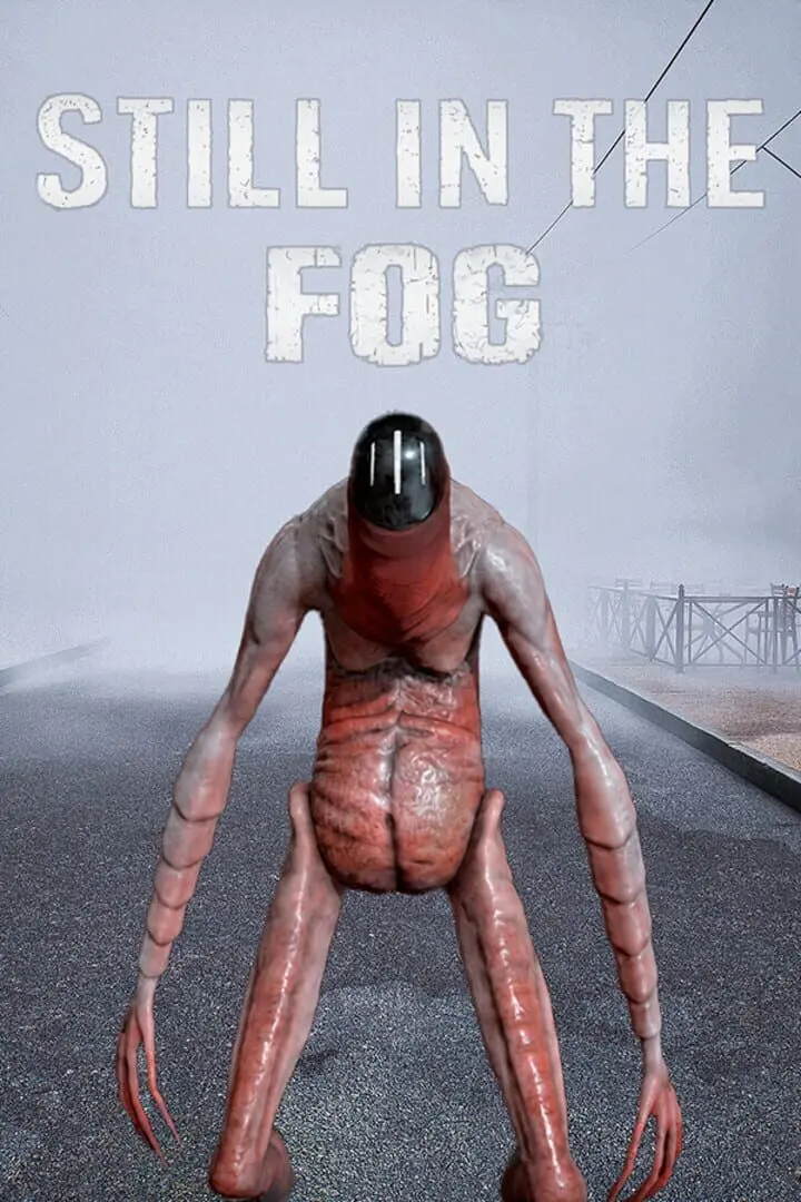 Still in the Fog