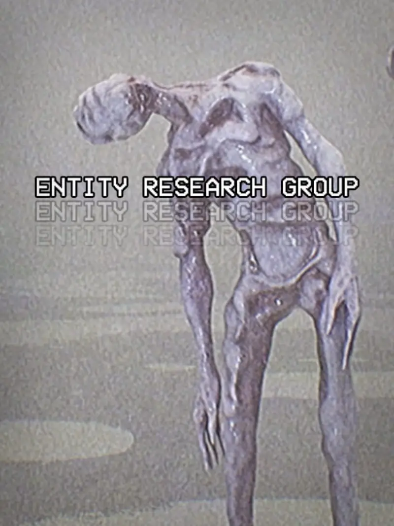 Entity Research Group