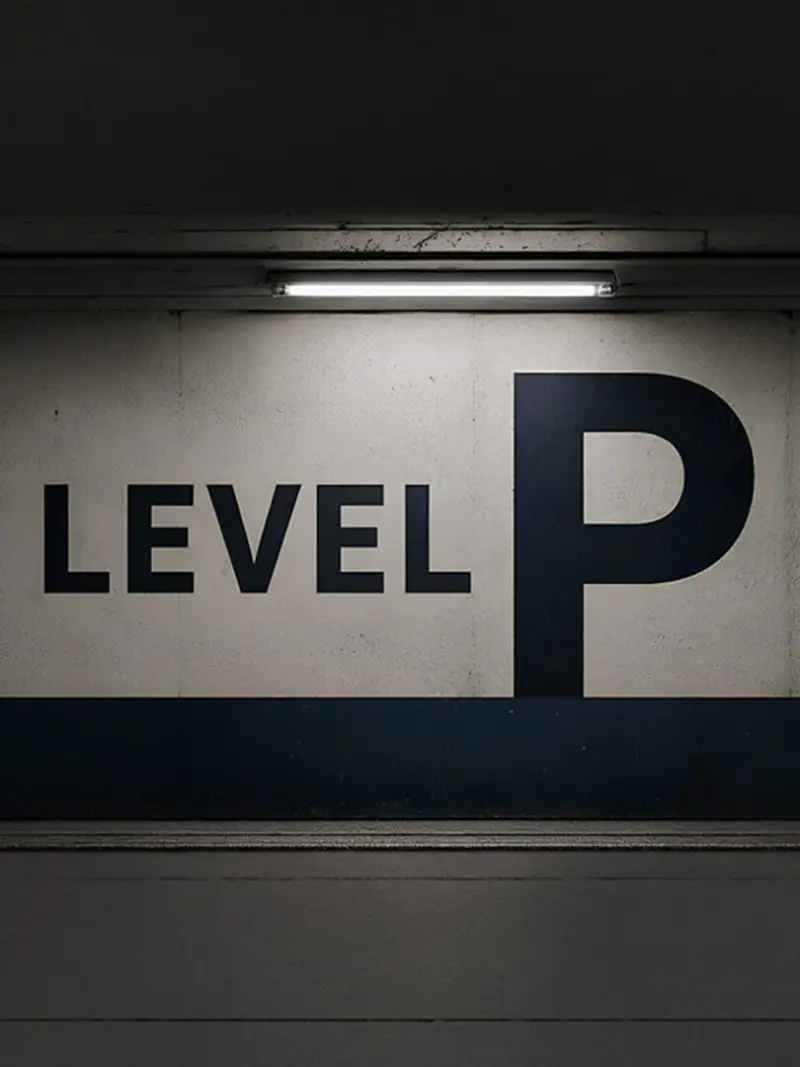Level P