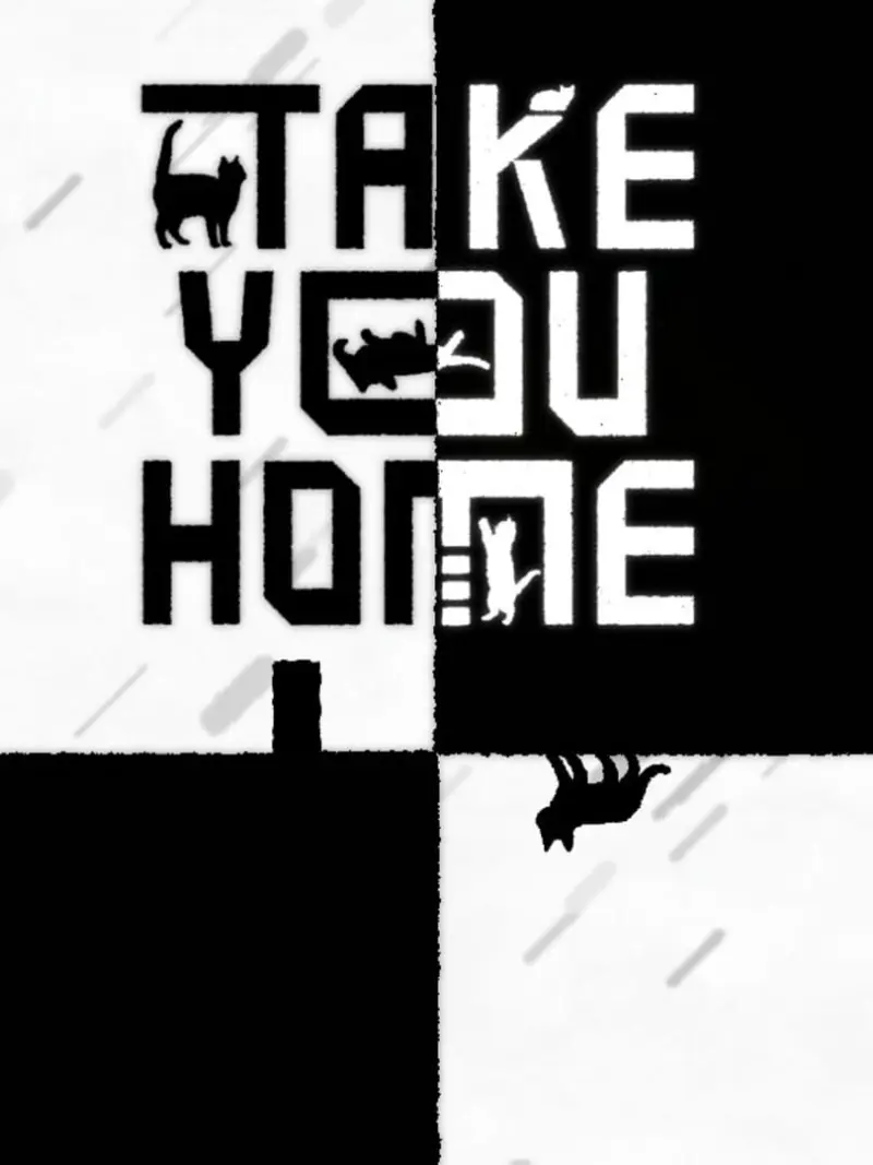 Take You Home